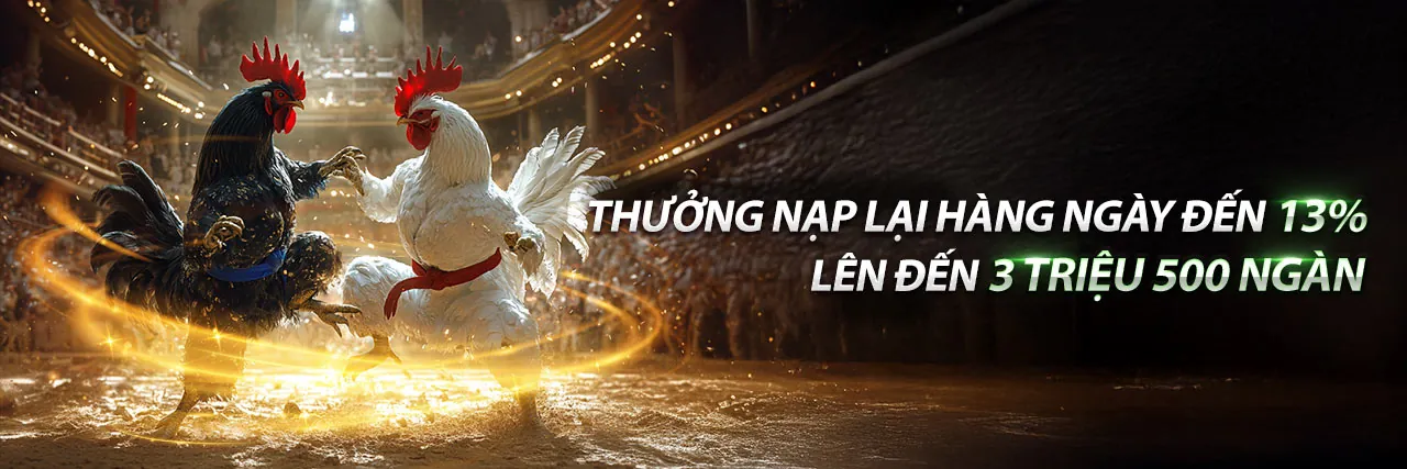 Đấu trường Đá Gà kịch tính tại 79sodo khuyến mãi